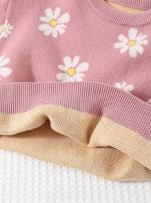 Cozy Pixies 2 piezas Conjunto de ropa para bebé niña con suéter de cuello redondo de manga larga con diseño floral y color contrastante