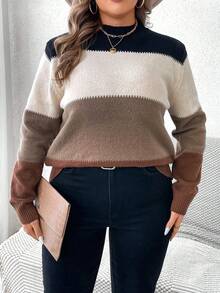 SHEIN LUNE Áo len cổ tròn tay dài Color Block cỡ lớn - Nhiều màu - Xem 3