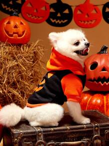 PETSIN 1pc Pet's Halloween Cute Expression Orange-Black Contrast Fleece Hoodie, Warm Sweatshirt For Cat & Dog - Multicolor - View 3