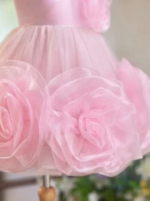 SHEIN Glamorique Kids 女童圣诞公主粉色 3D 花卉网眼薄纱露露派对礼服、婚礼、派对 - 粉色 - 查看 6