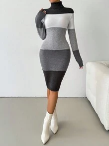 SHEIN Clasi Váy len dài tay cổ lọ phối màu cho nữ - Nhiều màu - Xem 3