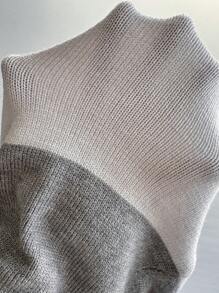 SHEIN Clasi Váy len dài tay cổ lọ phối màu cho nữ - Nhiều màu - Xem 7