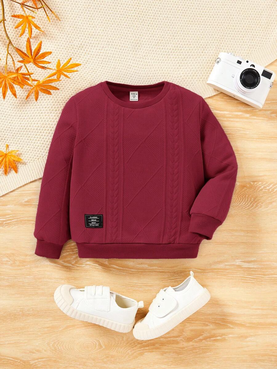 SHEIN Young Boy Casual Textured Applique Round Neck Sweatshirt,In Fall/Winter