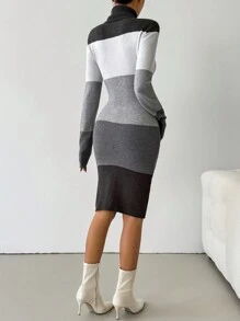 SHEIN Clasi Váy len dài tay cổ lọ phối màu cho nữ - Nhiều màu - Xem 2