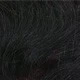S1