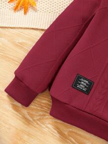 SHEIN Young Boy Casual Textured Applique Round Neck Sweatshirt,In Fall/Winter