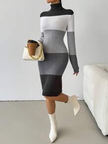 SHEIN Clasi Váy len dài tay cổ lọ phối màu cho nữ - Nhiều màu - Xem 5