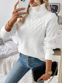 SHEIN LUNE 女士高领粗针织毛衣