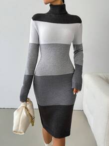 SHEIN Clasi Váy len dài tay cổ lọ phối màu cho nữ - Nhiều màu - Xem 4