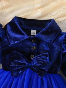 Baby Girl Ruffle Trim Bow Tie Mesh Casual Outdoor Long Sleeve Dress, Spring Autumn - Blue - View 4