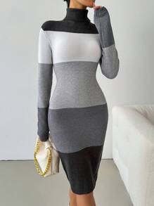 SHEIN Clasi Váy len dài tay cổ lọ phối màu cho nữ - Nhiều màu - Xem 1