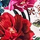 彩色