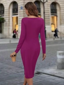 SHEIN Clasi Women Crew Neck Long Sleeve Zippered Fitted Elegant & Charming Dress