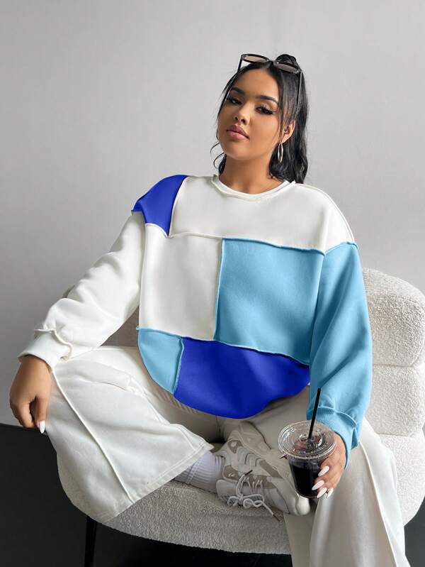 SHEIN EZwear Plus Size Women Color Block Crew Neck Long Sleeve Sweatshirt