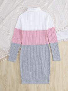 SHEIN Tween Girl Knitted Fleece Rib Knit Color Block Turtleneck Long-Sleeved Casual Dress, Suitable For Autumn And Winter - Multicolor - View 2