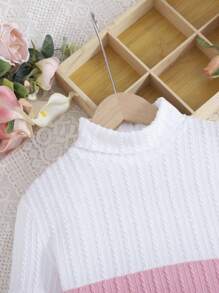 SHEIN Tween Girl Knitted Fleece Rib Knit Color Block Turtleneck Long-Sleeved Casual Dress, Suitable For Autumn And Winter - Multicolor - View 3