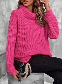 SHEIN LUNE Suéter casual de mujer de unicolor y diseño minimalista, top de manga larga