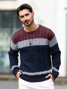 Manfinity Homme Men's Navy Blue Crew Neck Long Sleeve Patchwork Cable Knit Sweater,Autumn Smart Casual Pullover,Formal Wear Color Block Fall Sweater,Casual Daily Wear - Multicolor - View 3