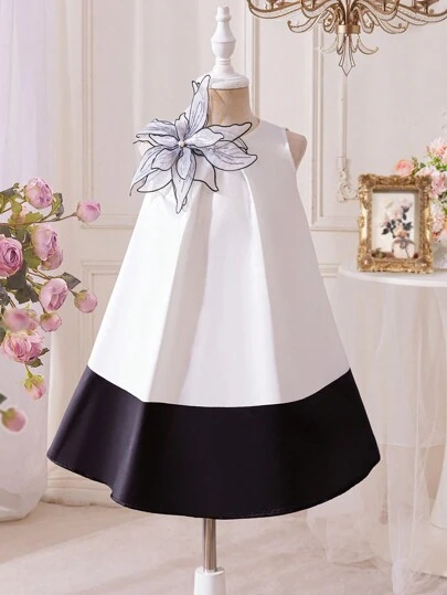 DRMZ Kids Young Girl 3D Floral Decor Colorblock Round Neck Sleeveless A-Line Dress