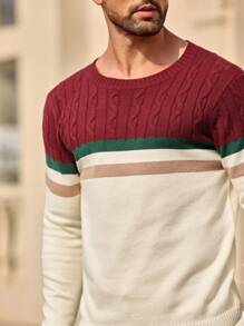 Manfinity VCAY Men's Fitted Knit Casual Crew Neck Sweater, Suitable For Christmas - Multicolor - View 5