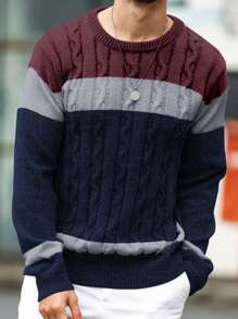 Manfinity Homme Men's Navy Blue Crew Neck Long Sleeve Patchwork Cable Knit Sweater,Autumn Smart Casual Pullover,Formal Wear Color Block Fall Sweater,Casual Daily Wear - Multicolor - View 4