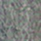 Medium Wash