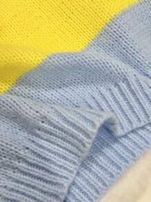 SHEIN Unity Women Colorblock Round Neck Batwing Long Sleeve Loose Sweater, Fall/Winter Knit Pullover - Multicolor - View 5