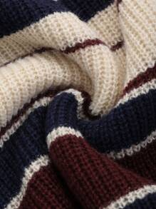 DAZY 女士秋冬条纹超大圆领长袖休闲毛衣、长袖上衣、秋季女装