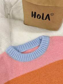 SHEIN Unity Women Colorblock Round Neck Batwing Long Sleeve Loose Sweater, Fall/Winter Knit Pullover - Multicolor - View 7