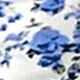 Blue and White