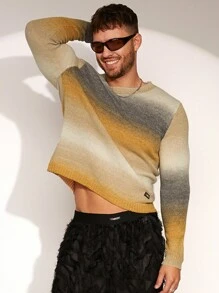 FeverCity Men's Round Neck Long Sleeve Gradient Knit Sweater, Casual Daily Wear, For Fall Winter - Multicolor - View 4