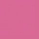 Rosa Fucsia