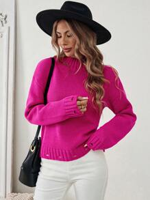 SHEIN LUNE Dames ronde hals lange mouw modieuze dagelijkse casual effen kleur minimalistische stijl trui