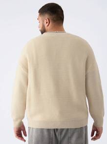 Manfinity VCAY Men's Plus Size Solid Color Plain Casual Crew Neck Long Sleeve Pullover Simple Sweater, Suitable For Autumn And Winter, For Going Out - Apricot - View 4