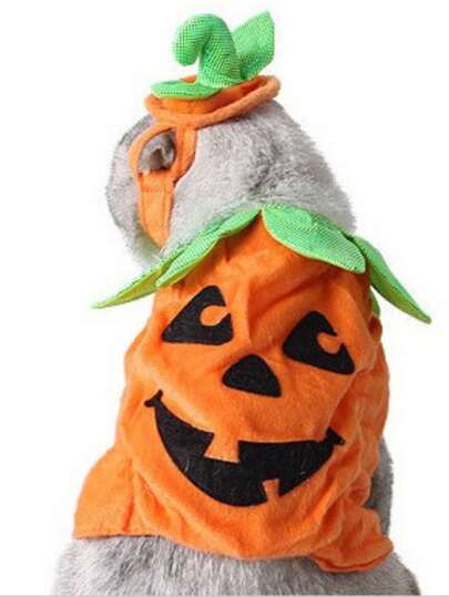 PETSIN 2pcs/Set Cat & Dog Halloween Costume Hat & Vest