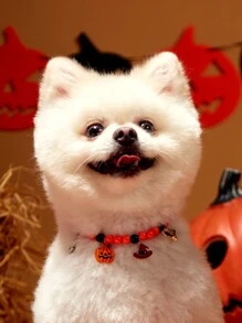 1pc Adjustable Pet Necklace With Halloween Pumpkin, Bat, Wizard Hat Beaded Pendant For Small To Medium Dogs