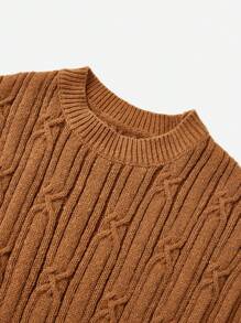 SHEIN LUNE Solid Color Round Neck Knitted Sweater Top
