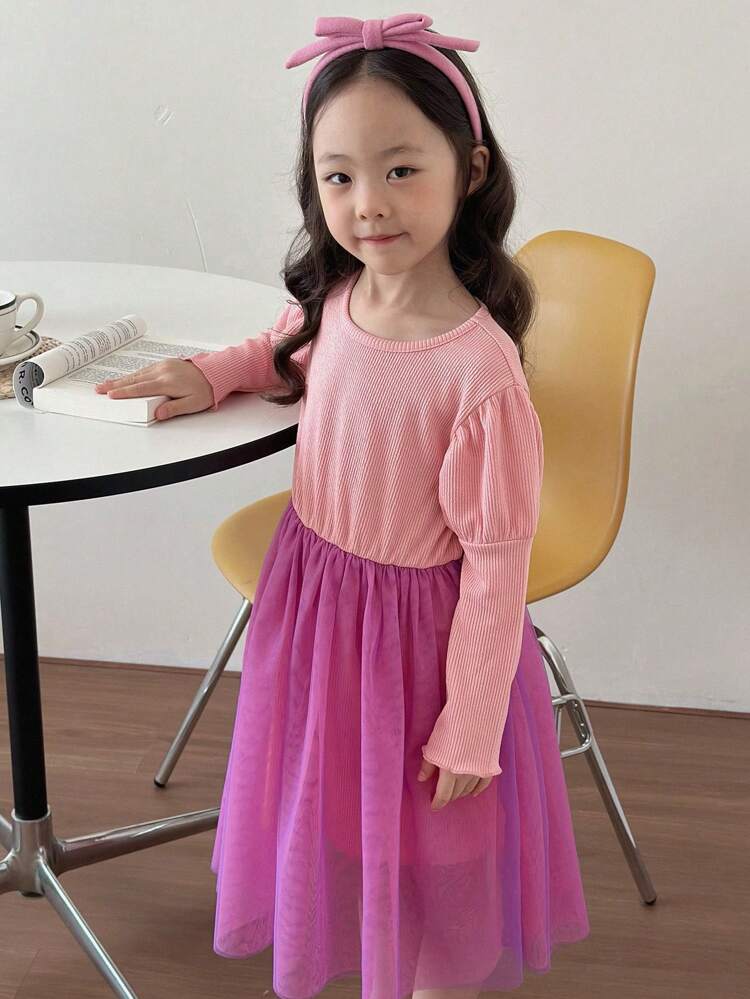 Young Girl Color Block Mesh Contrast Casual Dress, Spring Autumn