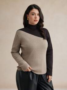 BizChic 大码拼色高领套头衫