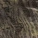متعدد الألوان