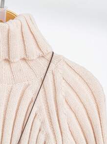 SHEIN LUNE 加厚高领撞色罗纹毛衣，休闲日常针织套头衫，秋冬款 - 彩色 - 查看 4