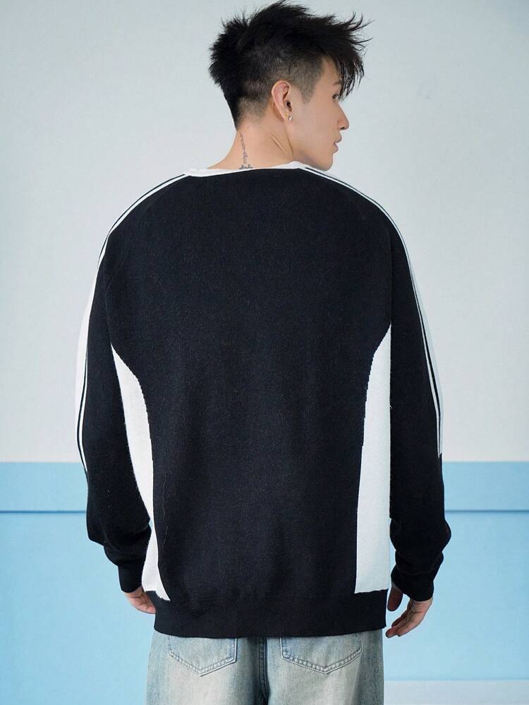 Men's V-Neck Letter Graphic Long Sleeve Knitted Sweater, Autumn