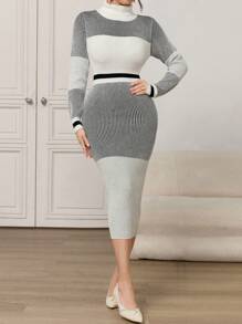 Modelyn 女士条纹印花高领优雅长袖毛衣连衣裙 - 彩色 - 查看 5