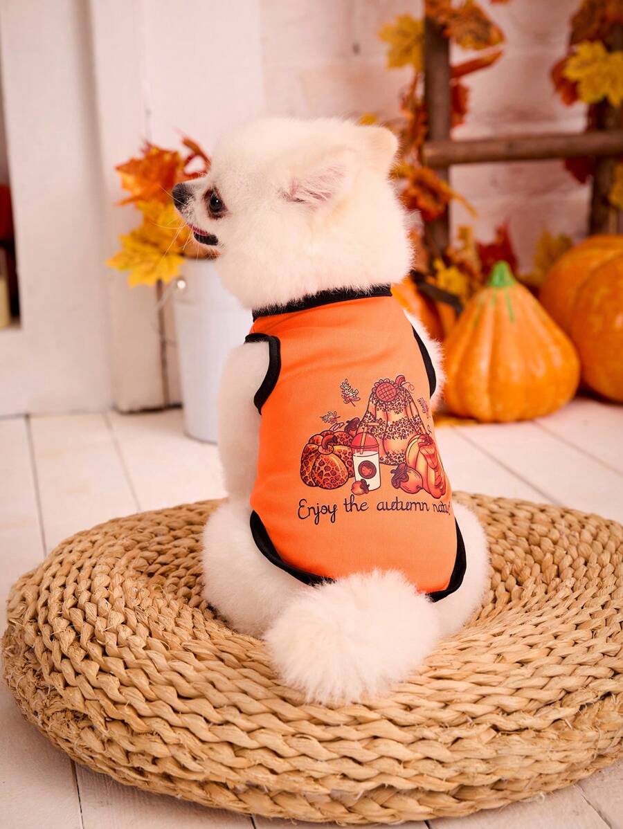 PETSIN 1 pieza Chaleco ligero y transpirable de color naranja calabaza para mascotas perros para Halloween - Multicolor - Ver 1
