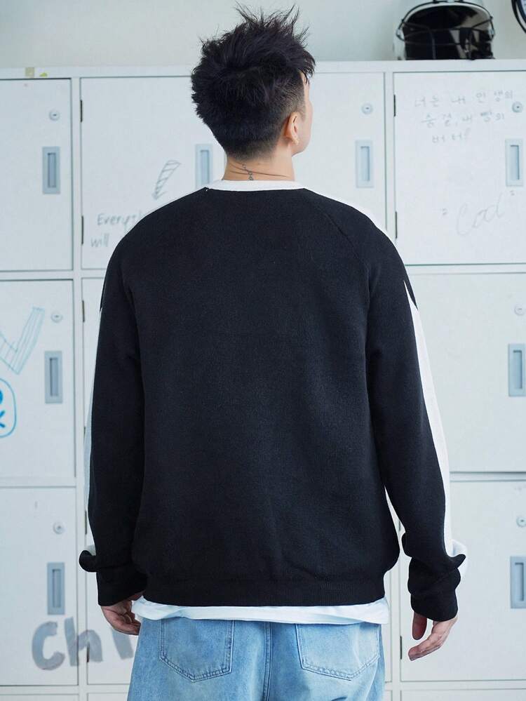 Men's Autumn Crew Neck Color Blocking Letter Print Long Sleeve Sweater