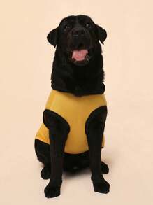 PETSIN Top de tanque sin mangas con capucha para perro y gato en negro y amarillo, bloqueo de color para verano como protector solar y anti-insectos