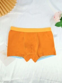 4pcs/Pack Tween Boys Minimalist Stylish Animal Pattern Breathable Comfy Boxer Briefs - Multicolor - View 2