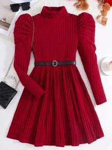 SHEIN Teen Girls High Neck Long Sleeve Ribbed Fitted A-Line Knit Dress, Wine Red, Autumn/Winter, Elegant Occasion Wear