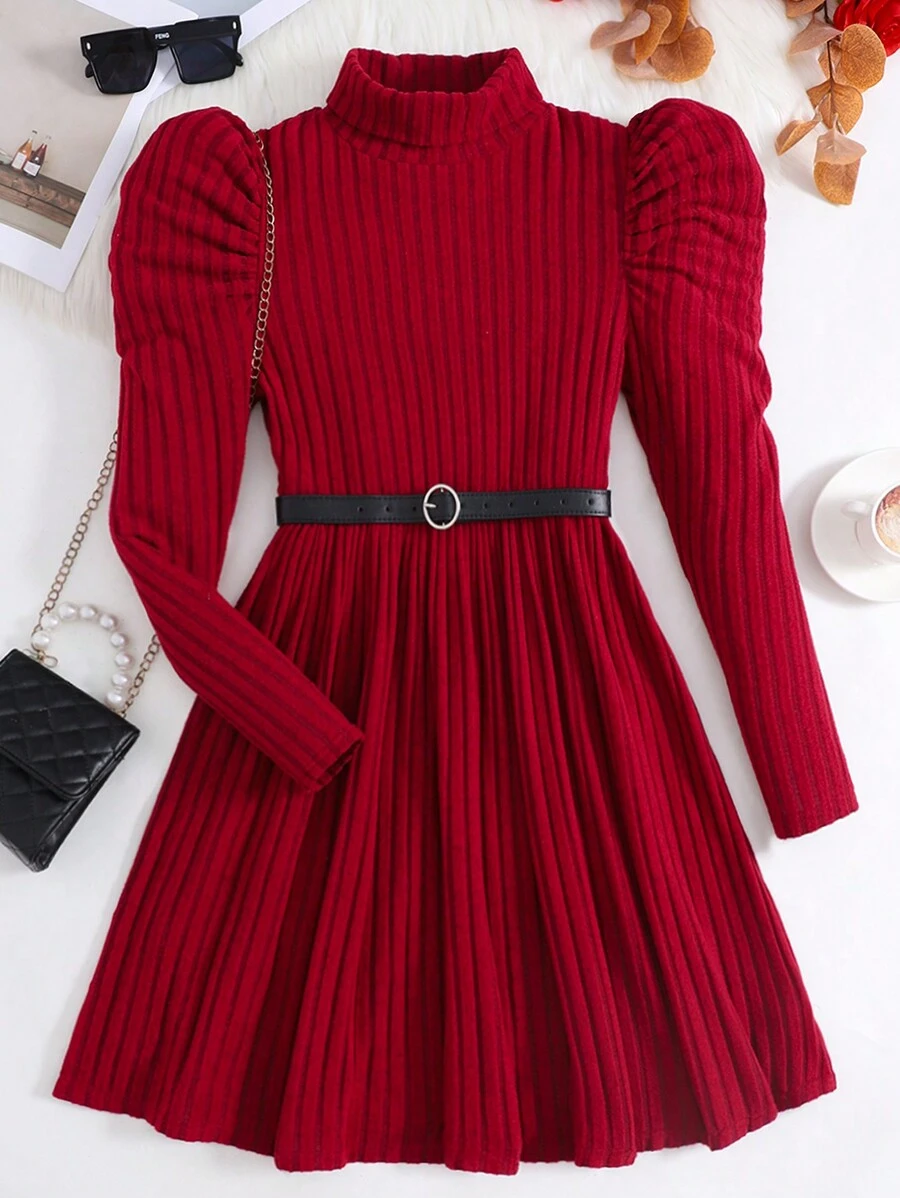 SHEIN Teen Girls High Neck Long Sleeve Ribbed Fitted A-Line Knit Dress, Wine Red, Autumn/Winter, Elegant Occasion Wear