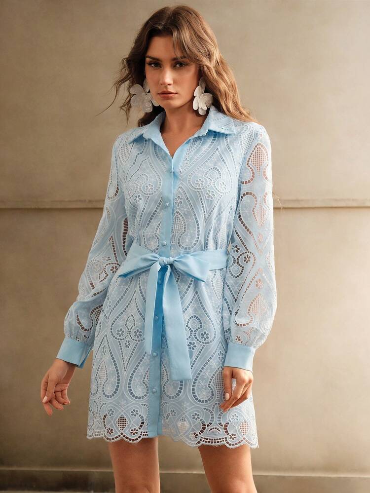 Lantern Sleeve Collared Lace Hollow Out Waisted Elegant Dress